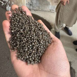 Diammonium Phosphate (DAP) High-Analysis Granular Fertilizer for sale - Buy Online