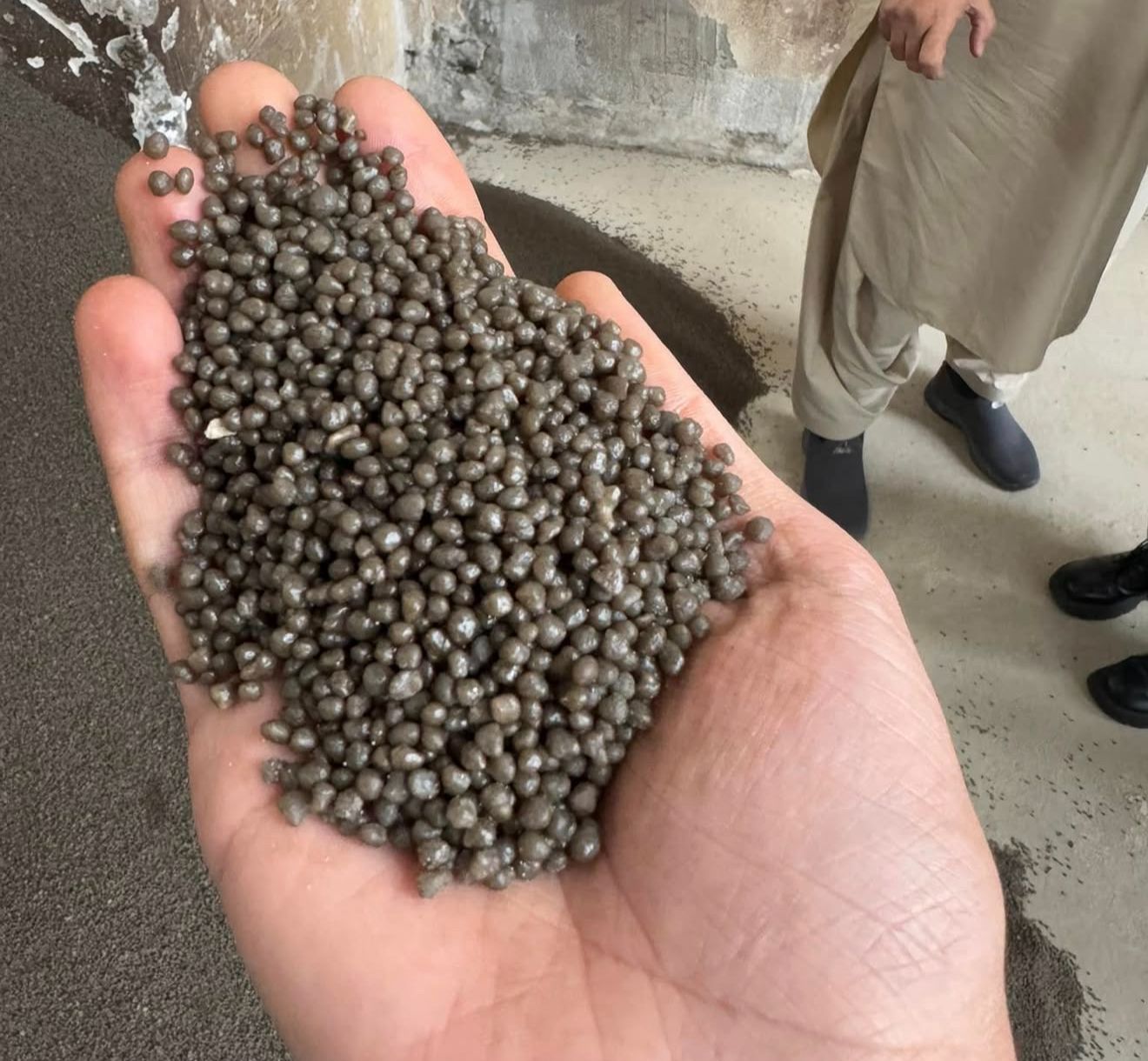 Diammonium Phosphate (DAP) High-Analysis Granular Fertilizer for sale - Buy Online