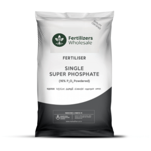 Single Super Phosphate Fertilizer (SSP)